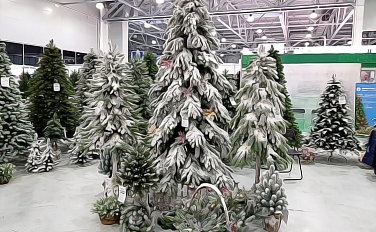 БЕСПРОЦЕНТНАЯ РАССРОЧКА ОТ МАГАЗИНА