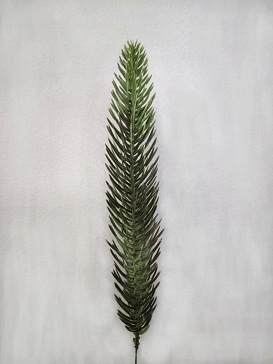 Название картинки