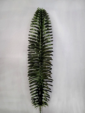 Название картинки