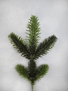 Название картинки