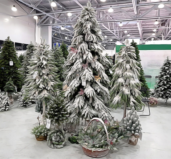 БЕСПРОЦЕНТНАЯ РАССРОЧКА ОТ МАГАЗИНА